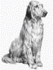 Setter & Pointer in Not